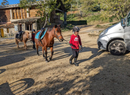 Balades à cheval ou à poney