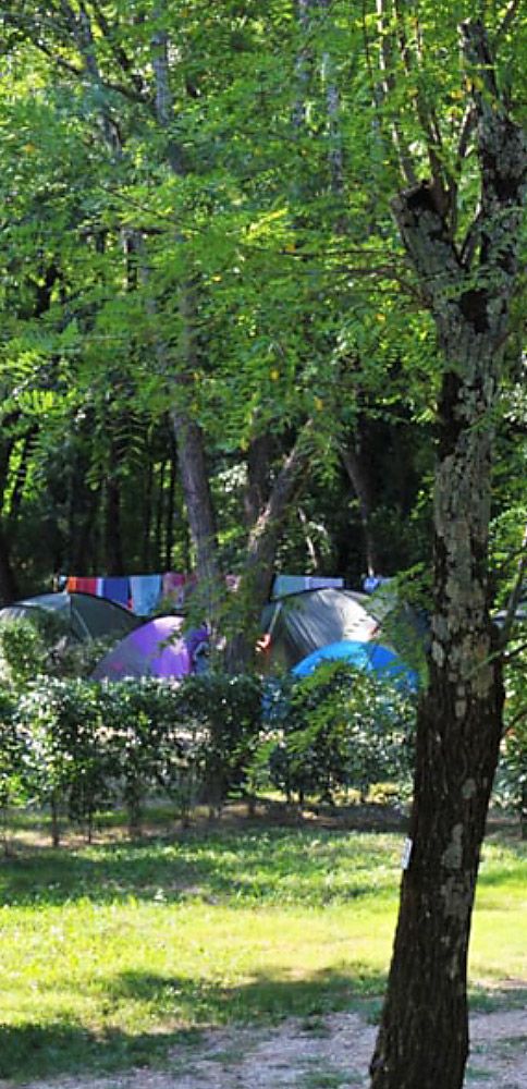 The campsite pitches