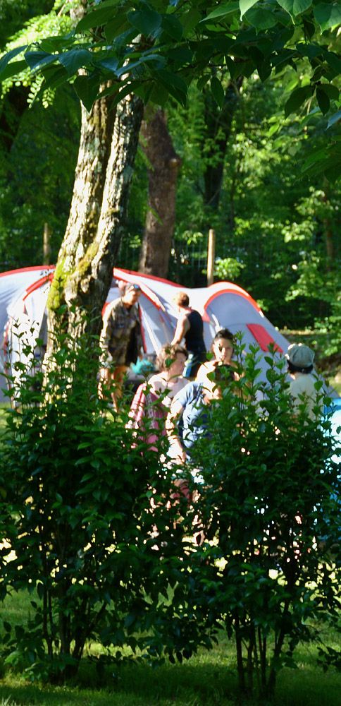 The campsite pitches