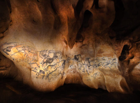 La grotte Chauvet 2 - Le panneau des lions ©Patrick-Aventurier