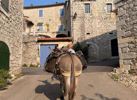 Randonnée avec un âne